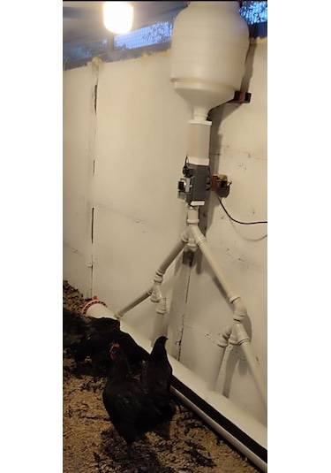 Otomatik Yemlik (Tavuk Güvercin Bıldırcın)