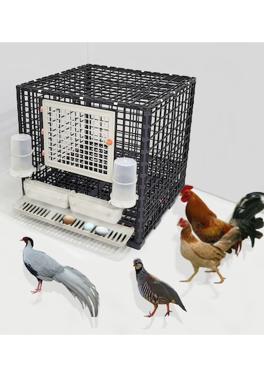 Leganest Tavuk Sülün Keklik Bantam İspenç Kafesi 62 x 62 x 62 CM