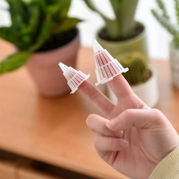 Trendooze Şeffaf Saksı Taban Filesi, 20 Adet, Sukulent Kök Koruma