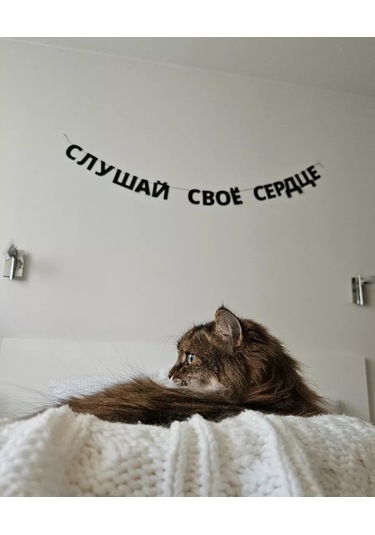 Padarunak Kalbininin Sesini Dinle Harfli Işıklandırma 181558515 Diğer