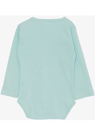 Breeze Erkek Bebek Çıtçıtlı Zıbın Body Ressam Kedicik Baskılı 9 Ay-3 Yaş, Su Yeşili-su Yeşili Su Yeşili