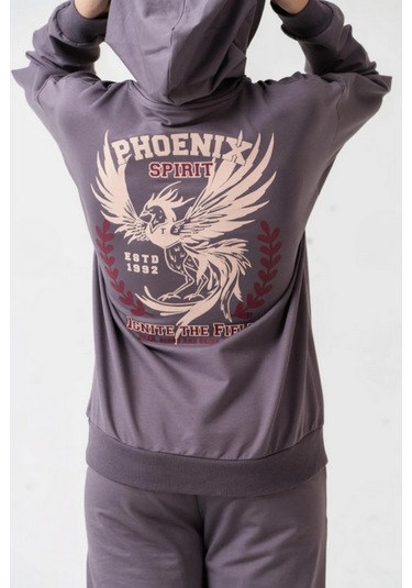 Erkek Çocuk Phoenix Sprit Baskılı Alt Üst Eşofman Takımı Ak7870 Gri
