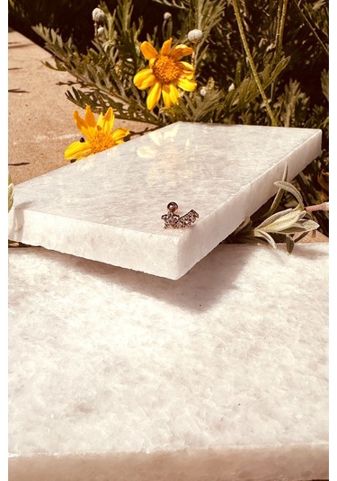 Star Sıra Yıldız Samanyolu Tasarım Zirkon Taşlı Şık Rose Gold Renk Çelik Piercing Tragus Helix