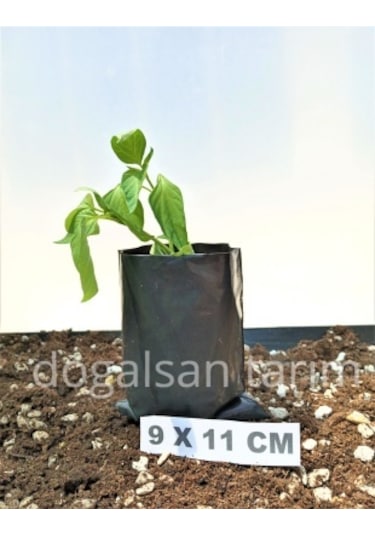 Fidan Poşeti 9X11 cm 10 Adet Körüksüz Fide Poşeti Fide Torbası