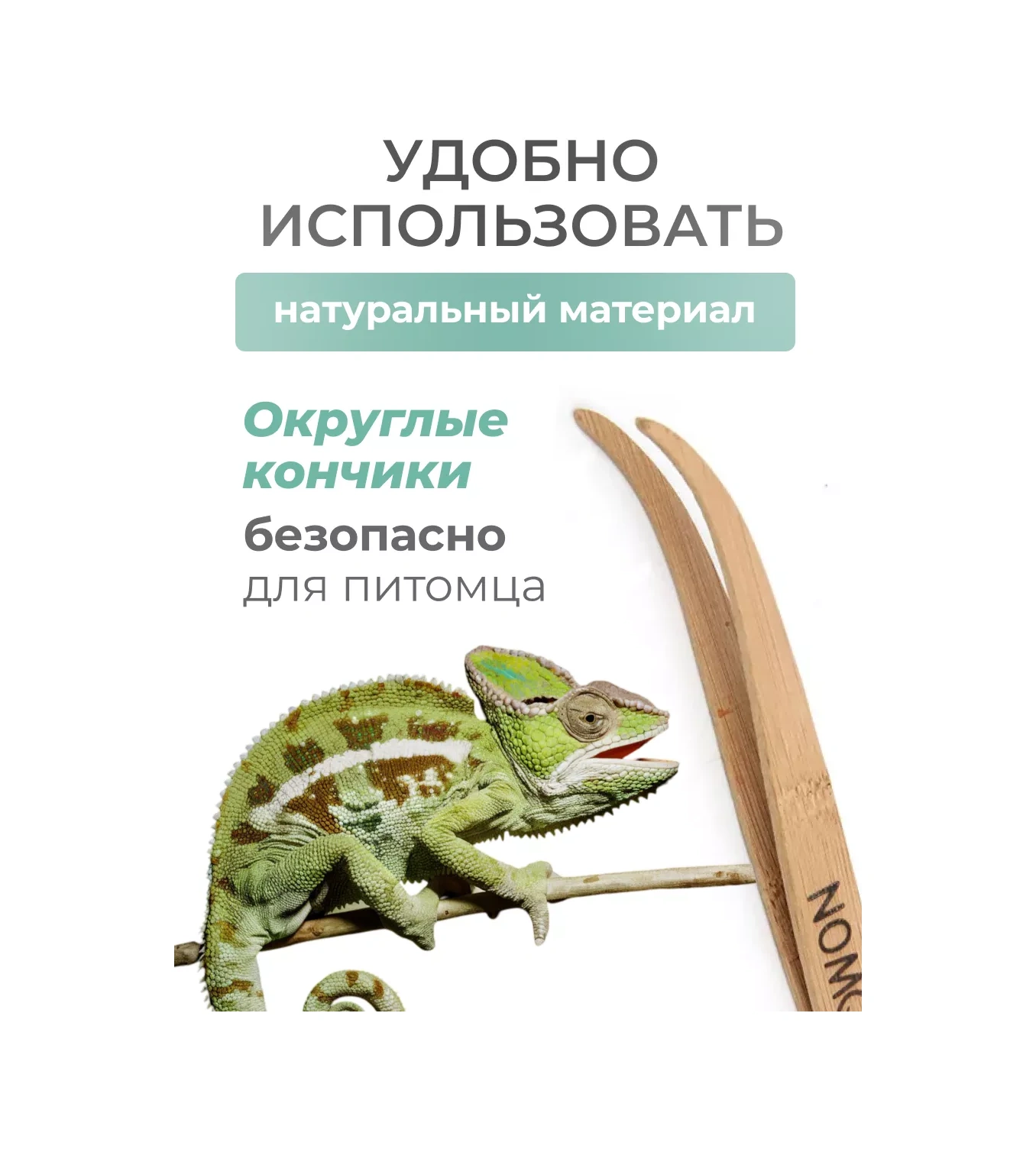 Petsroom Akvaryum Ve Teraryum İçin Sürüngen Besleme Penseti 51448436