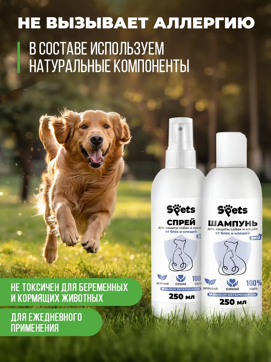 Spets Bit Ve Kene Şampuanı + Bit Ve Sivrisinek Spreyi 233250623