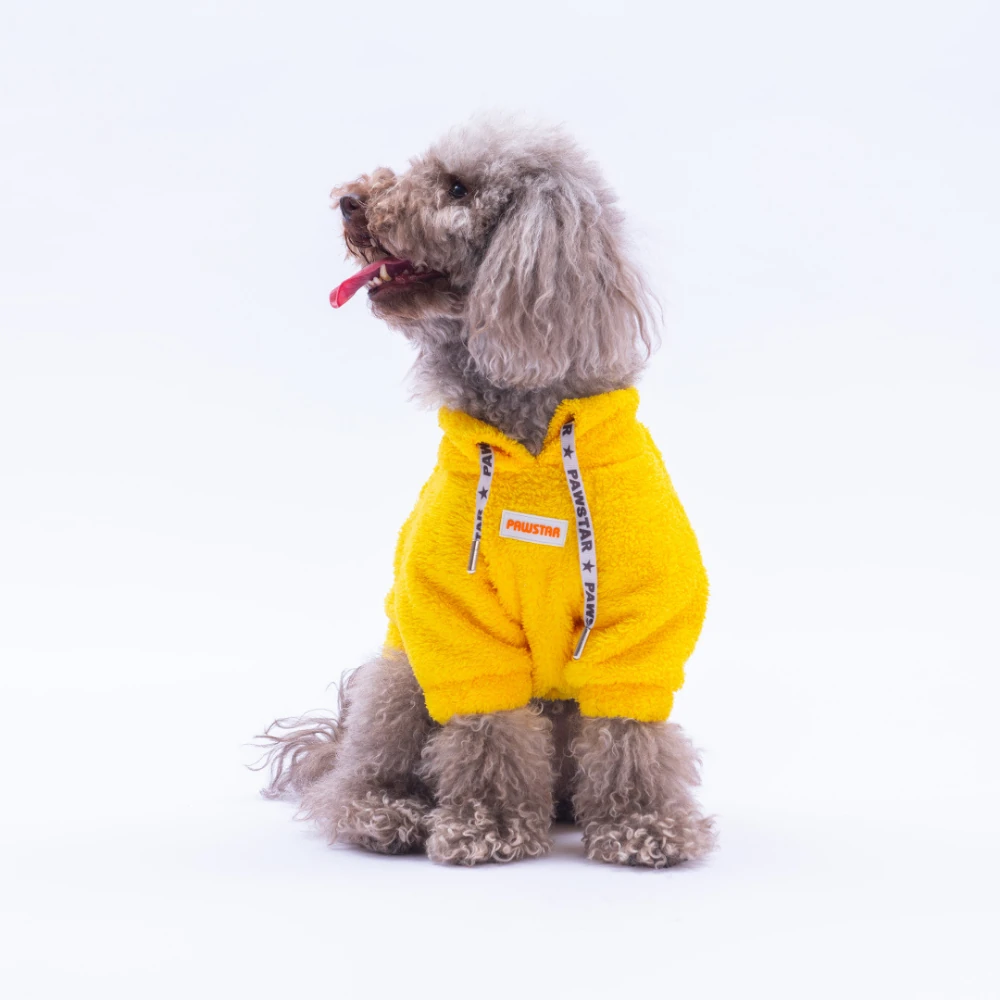 Sarı Porto Cozy Kedi Köpek Sweat