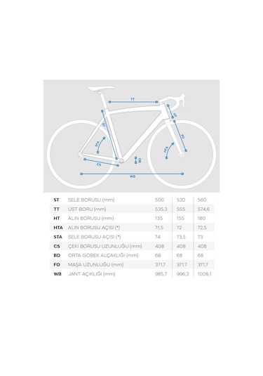 Bianchi R0013-disk Hidrolik Fren Yol - Yarış Bisikleti 53 Cm 2x12 Vites Siyah