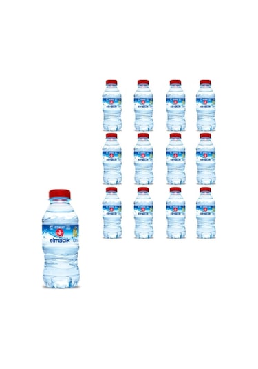 Atatürk Orman Çiftliği Elmacık Su 48 x 330 ML