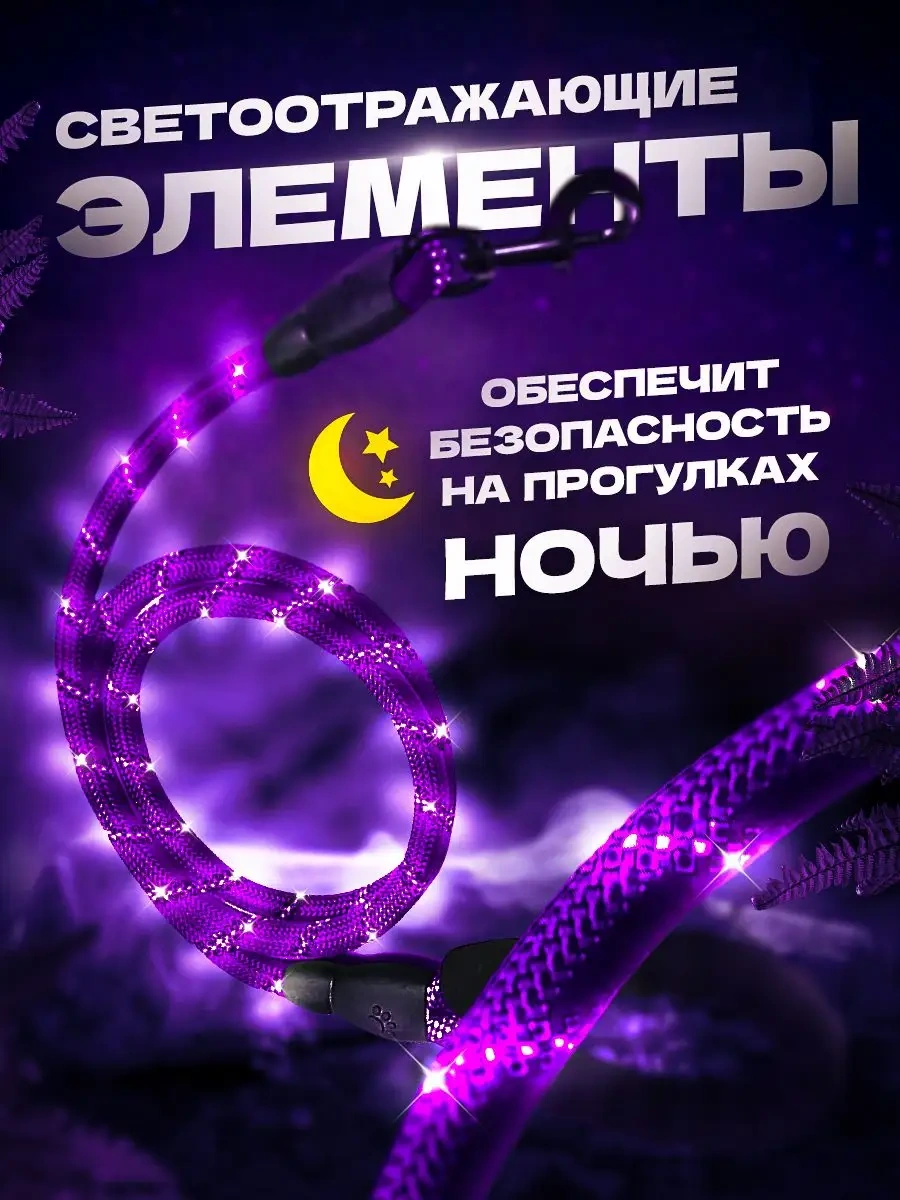 Petfort 3 M Yansıtıcı Naylon Köpek Tasması 170584581 Violet