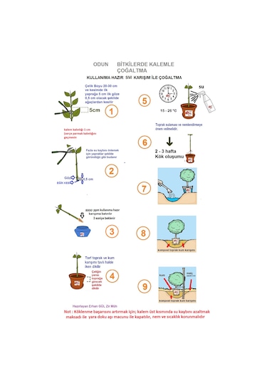 Eastroot Ağaç Fidan Köklendirme Hormonu 8000 Ppm 100ML