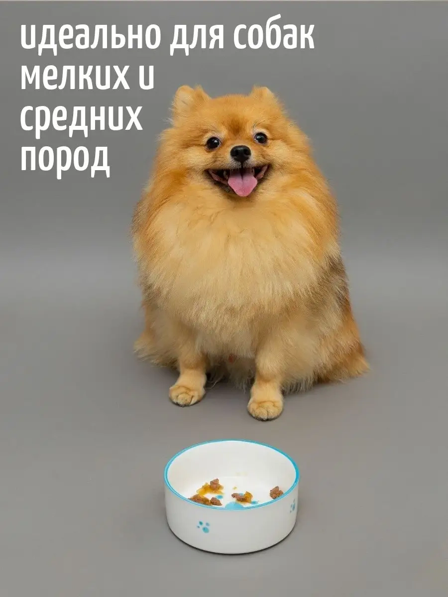 Tcallini Pets Kedi Ve Köpekler İçin Seramik Mama Kapları 400 Ml 164275865