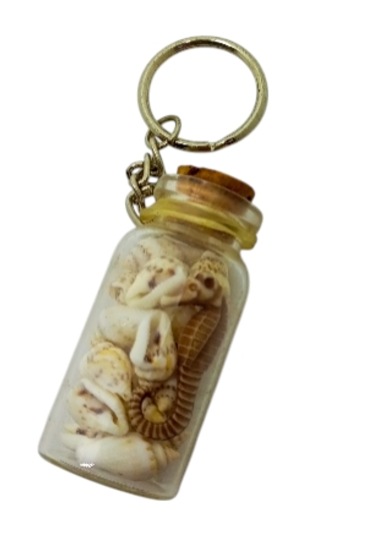 Mantar Tıpa Lı Deniz Kabukları Anahtarlık