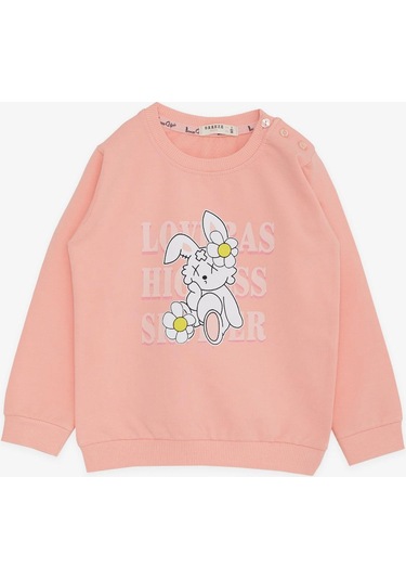 Breeze Kız Çocuk Sweatshirt Tavşancık Baskılı 1.5-5 Yaş, Somon-somon Somon Breeze Kız Çocuk Sweatshirt Tavşancık Baskılı 1.5-5 Yaş, Somon-somon Somon