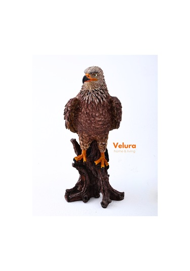 Berkut Kartal Biblo & Heykel & Büst & Figür