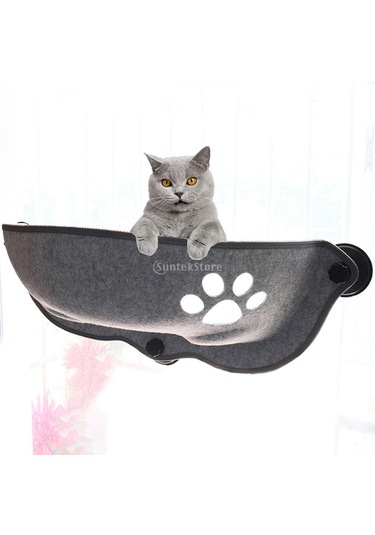 Homyl Kedi Hamak Yatak Pencere Dağı Araba Pod Şezlong Vantuz