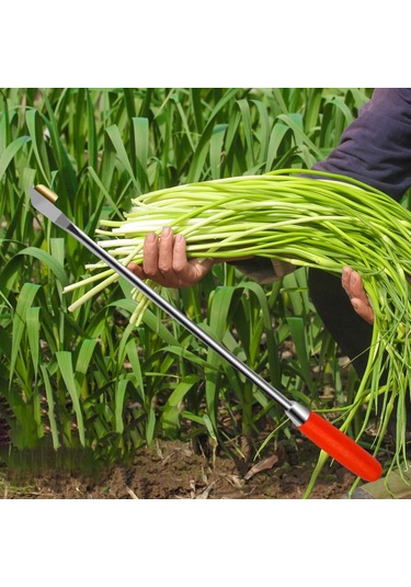 Suntek Magideal Sarımsak Soyma Aparatı Gümüş