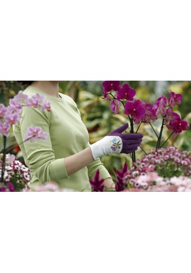 Rostaıng Nerıne Bahçe Ve Çok Amaçlı Eldiven