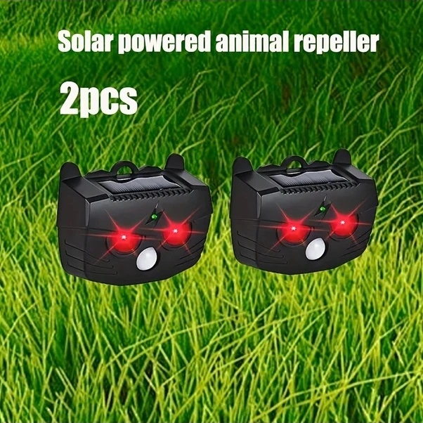 Trendooze Hayvan Kovucu Jkuoo Güneşli Gelişmiş 2li Paket Bahçe Çim