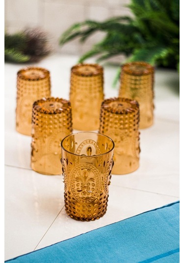 Akrilik Bal 6'lı Kısa Bardak & Su Meşrubat Kahve Yanı Bardağı 400 Ml Cam Değildir Bal