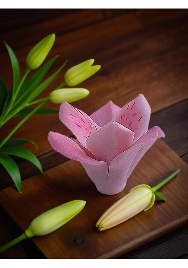 Koroleva Formy Alストロメリア Silikondan Şekillendirme Kalıbı 305262941 Diğer