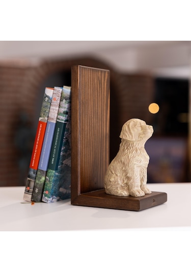 Can Dostum Köpeğim Kitap Desteği