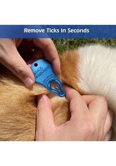 Geeksen Evcil Hayvan Ve İnsan İçin Güvenli Ken Bugüsü Kaldırıcı Seti 3 Adet, Metal, Taşınabilir, Lehim Prensibi