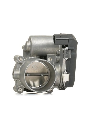 Volkswagen Passat Gaz Kelebeği