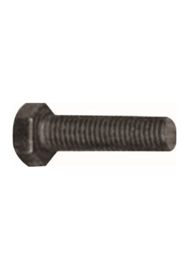 Mtj Sanzıman Cıvatası Orta 7mm R12 AOD-MTJ 3142