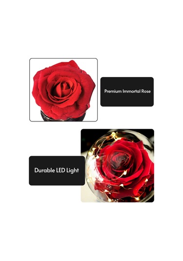 Mufunye Renkli Işık Modlu Cam Kubbede İpek Gül Gece Lambası - Çocuk Odası Dekoru Kırmızı