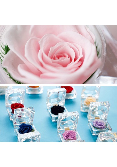 Xiyyadms Sürekli Gül Dekoratif Açık Renkli Ev Ve Partiler İçin Romantik Hediyelik Çiçek Kutusu