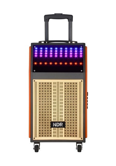 Torima NDR-108R Kablosuz Mikrofonlu Uzaktan Kumandalı RGB Bluetooth Hoparlör