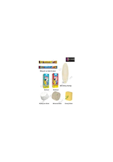 Purecanpati Gaga Taşı+vitamin+kraker Set