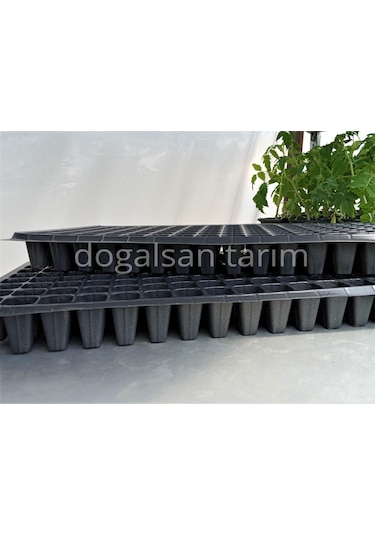 20 Adet Fide Viyol 128 Göz Fide Viyolü Fide Viyolleri Fidelik