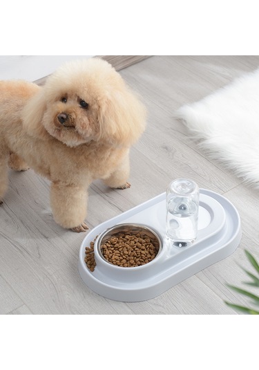 Sones Paslanmaz Çelik Köpek Ve Kedi Çift Kase Otomatik Suluk Islak Değil Ağız Pet Mama Kasesi