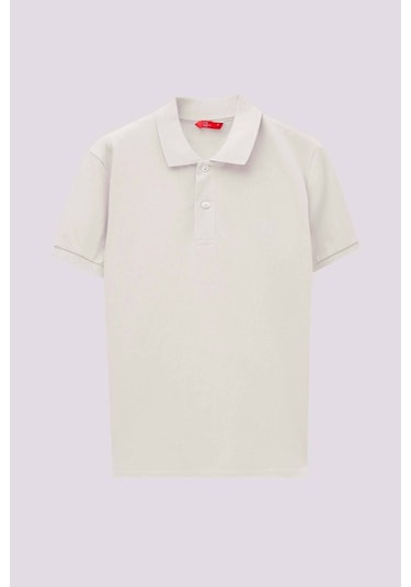 Ds Damat Regular Fit Taş Pike Dokulu %100 Pamuk Kıvrılmaz Polo Yaka Nakışlı T-shirt 4HC14ORT51000 Taş