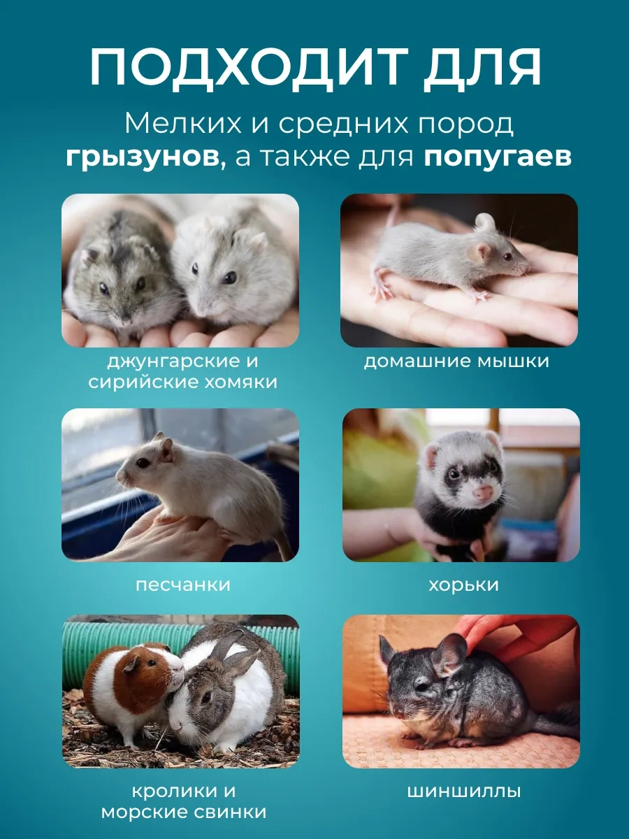 Petsroom Kuşlara, Kemirgenlere, Kafeslere Ve Otomatik Besleyicilere Uygun Besleyici Ve Suluk 262925409