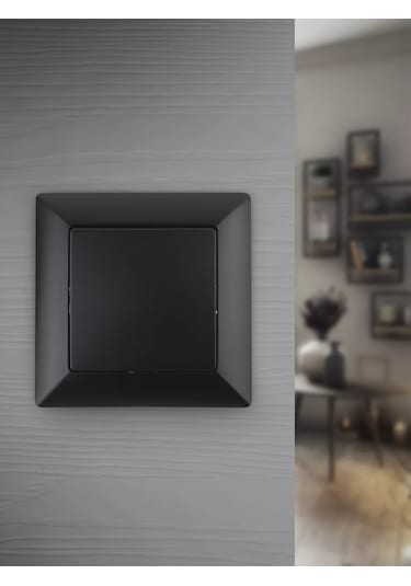 Intro Tek Tuşlu Solo Anahtar 10a-250v 123742441