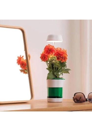 Hızlı Bitki Yetiştirme Saksısı - 9030757757651do