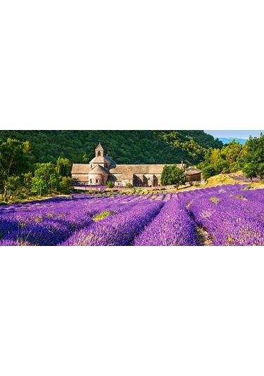 Castorland 600 Parça Puzzle Notre Dame De Senanque France