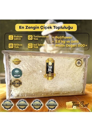 Tanbal Yayla Çiçek Balı 2800 G