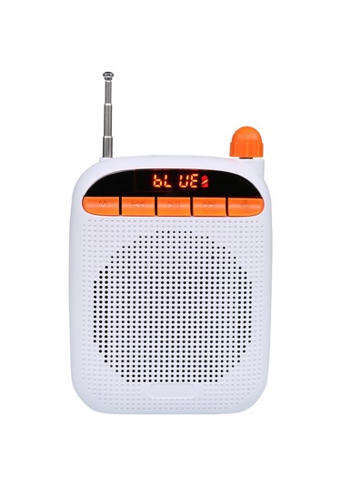 Lecoo MCS30 Kablosuz Çift Mikrofonlu Ses Kaydetme Özellikli Taşınabilir Hoparlör