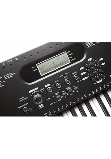 Kurzweil Kp70 Org
