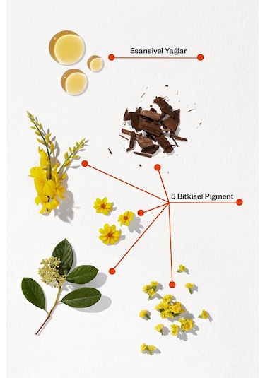 Phyto Color 8.1 Küllü Sarı Amonyaksız Kalıcı Bitkisel Saç Boyası
