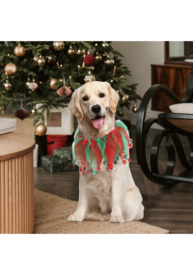 Homyl Yılbaşı Kış Tatili Yürüyüş Için Köpek Tasmaları Kırmızı