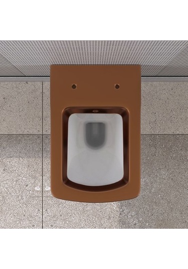 Lucco Loop Asma Klozet İçi Beyaz Dışı Komple Bronz