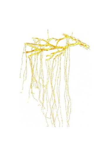 Novahub Bakır Tel Led Işık, 280 Işık 14 Dal 2m Bahçe Deko, Sıcak Beyaz Eu Fiş, Uzaktan Kumanda/güneş Enerjisi Diğer