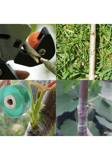 Sones Bahçe Profesyonel Aşılama Kesme Aleti / Aşı Budayıcı / Sebze Meyve Ağacı İçin Aşı Makası Siyah