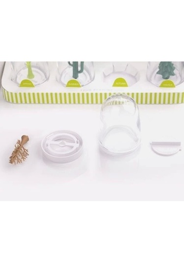 Seasoning Shakers Dört Mevsim Baharatlık Renkli