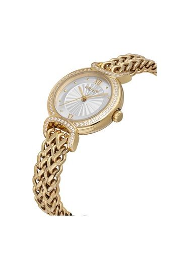 Dice Kayek Dk.1.ag1411.04 Taşlı Tasarım Çelik Kordon Çelik Kasa 5 Atm Suya Dayanıklı Altın Renk Kadın Kol Saati Altın